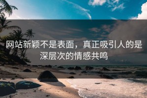 网站新颖不是表面，真正吸引人的是深层次的情感共鸣