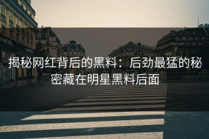 揭秘网红背后的黑料：后劲最猛的秘密藏在明星黑料后面
