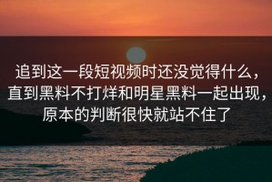 追到这一段短视频时还没觉得什么，直到黑料不打烊和明星黑料一起出现，原本的判断很快就站不住了