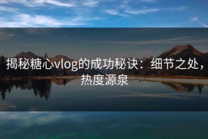 揭秘糖心vlog的成功秘诀：细节之处，热度源泉