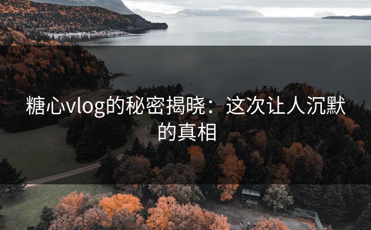 糖心vlog的秘密揭晓：这次让人沉默的真相