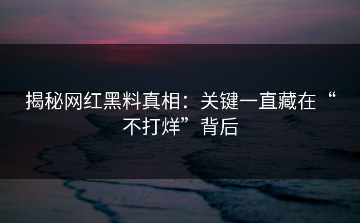 揭秘网红黑料真相:关键一直藏在“不打烊”背后 揭秘网红黑料真相:关键一直藏在“不打烊”背后