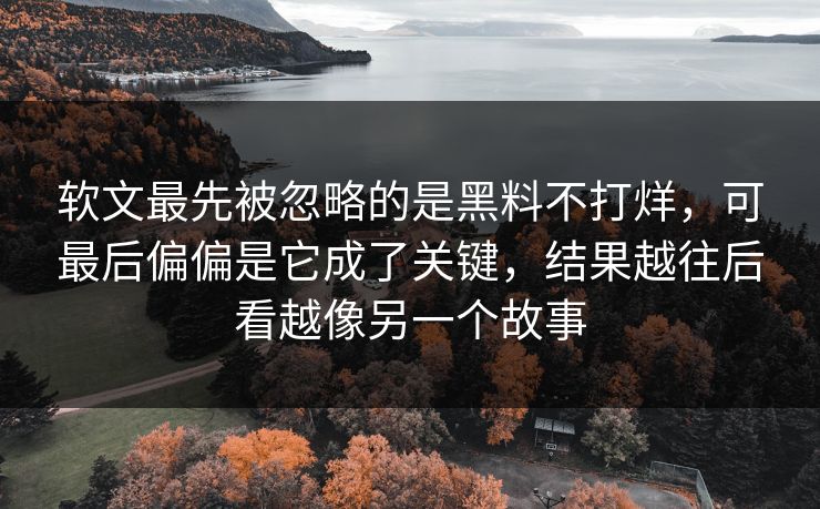 软文最先被忽略的是黑料不打烊,可最后偏偏是它成了关键,结果越往后看越像另一个故事 软文最先被忽略的是黑料不打烊,可最后偏偏是它成了关键,结果越往后看越像另一个故事