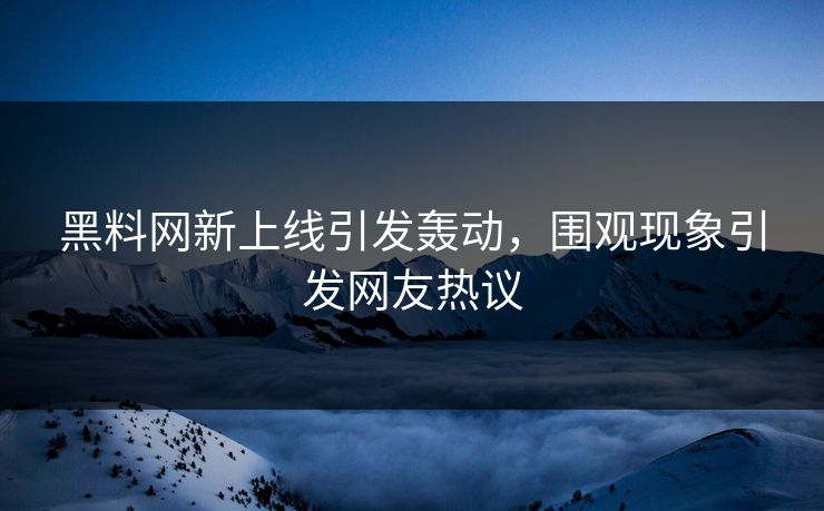 黑料网新上线引发轰动，围观现象引发网友热议