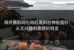 揭开黑料网与网红黑料的神秘面纱：从无兴趣到震撼的转变